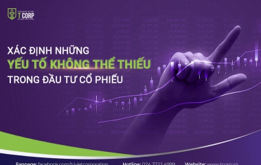 ĐẦU TƯ CỔ PHIẾU KHÔNG THỂ THIẾU NHỮNG YẾU TỐ NÀY